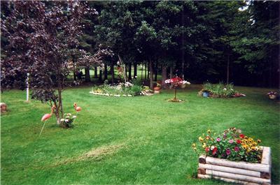Flower beds in a yard