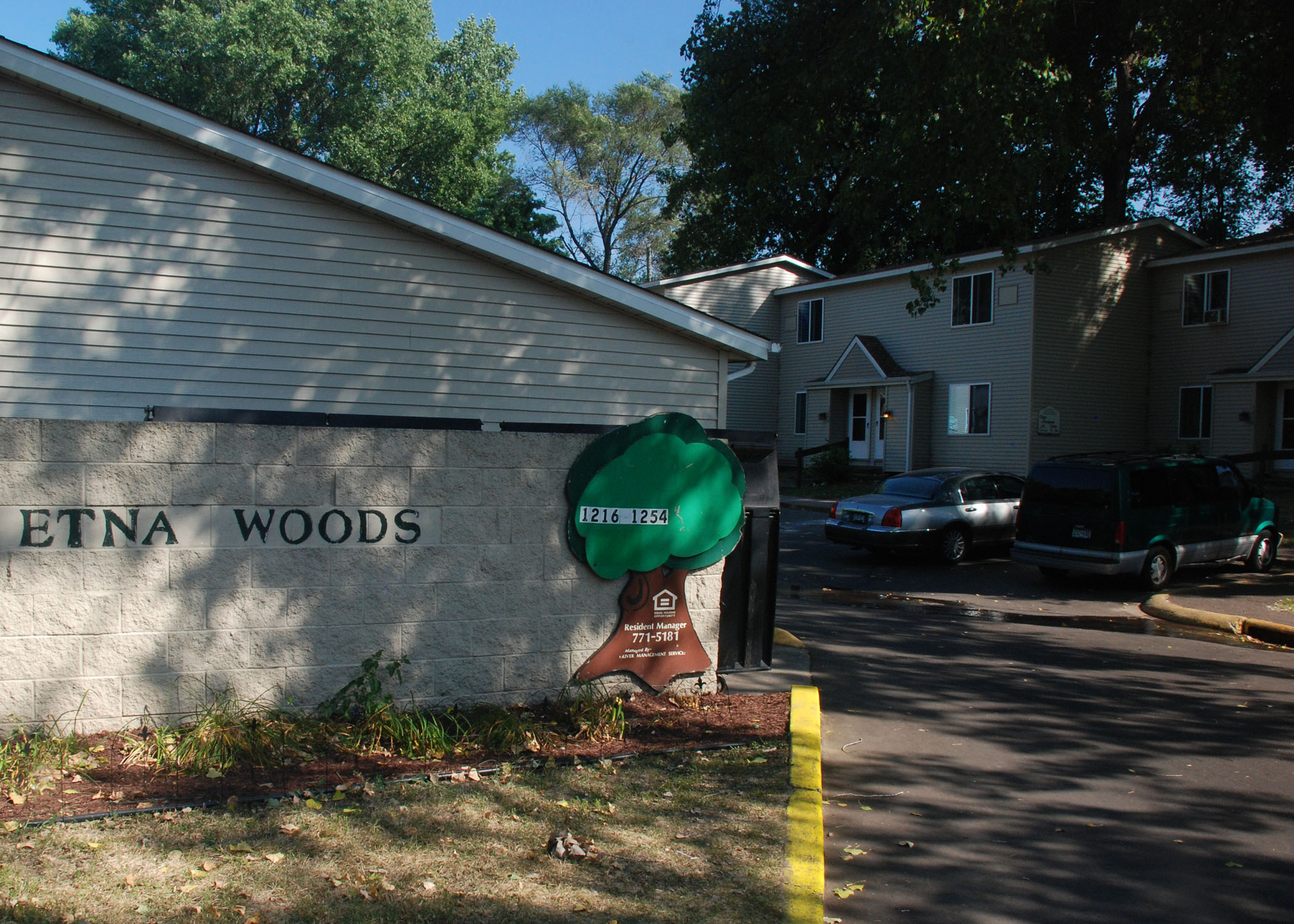 etna woods townhomes st paul